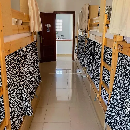 Drago Icod De Los Vinos