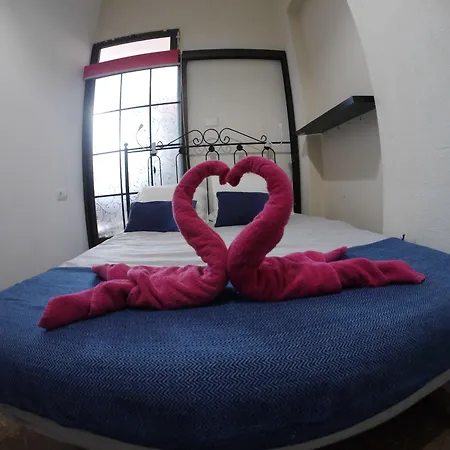 Drago Hostel