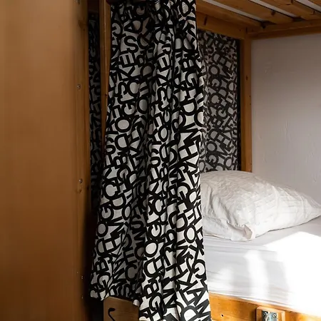 Drago Icod De Los Vinos