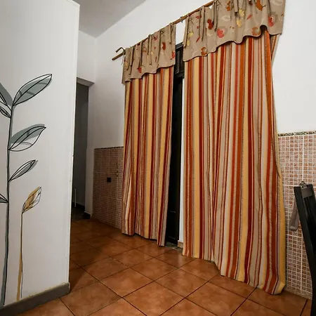 Hostel Drago Icod De Los Vinos