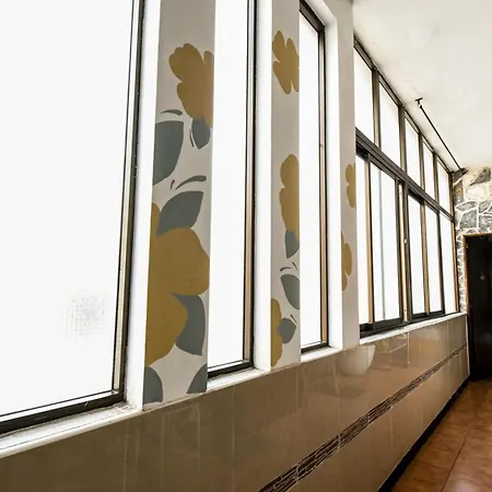 Drago Icod De Los Vinos