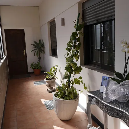 Drago Hostel Icod De Los Vinos