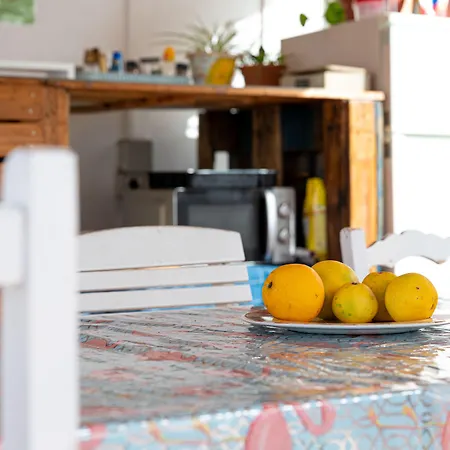 Drago * Icod De Los Vinos